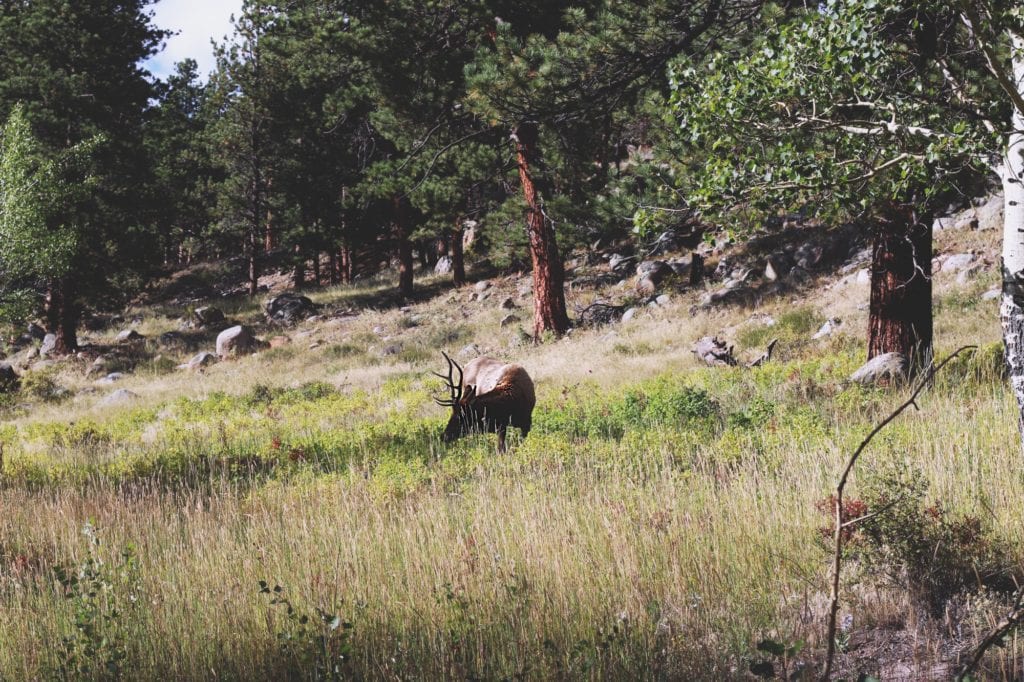 umzug nach kanada, Leben in verschiedenen kanadischen Städten
