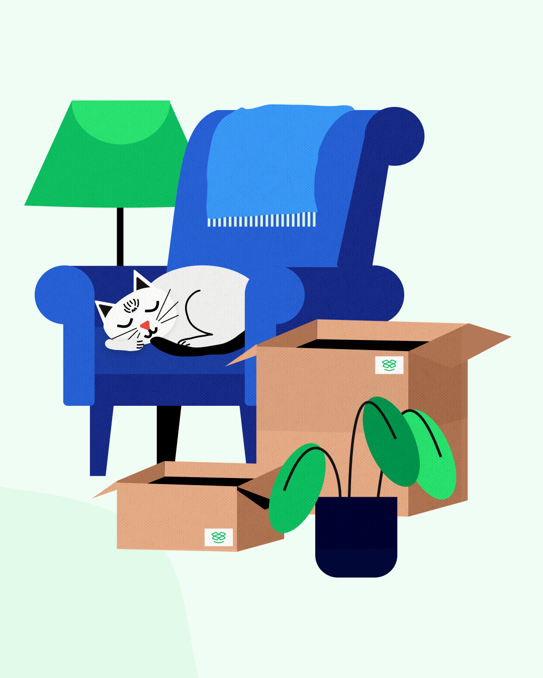 Umzugsunternehmen Rostock mit Umzugskartons, Möbeln und Haustier in einer Wohnung in Rostock